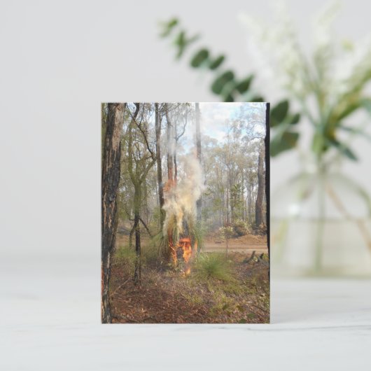 Flaming Grasstree Vakantie Kaart (Staand voorkant)
