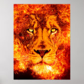 Flaming Lion Face Poster (Voorkant)