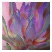 Flaming Protea Tegeltje (Voorkant)