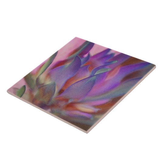 Flaming Protea Tegeltje (Zijkant)