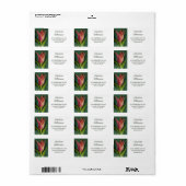 Flaming Red Tulip Flower in Waterverf Address Etiket (Full Sheet)