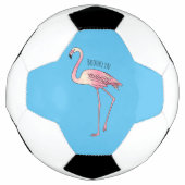Flamingantia cartoon illustratie voetbal (Voorkant)