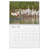 Flamingkalender Kalender (Feb 2026)