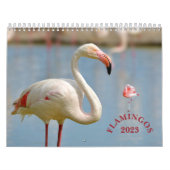 Flamingkalender Kalender (Hoes)
