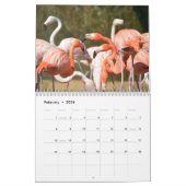 Flamingkalender Kalender (Feb 2026)