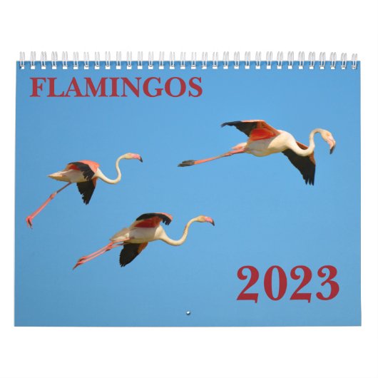 Flamingkalender Kalender (Hoes)