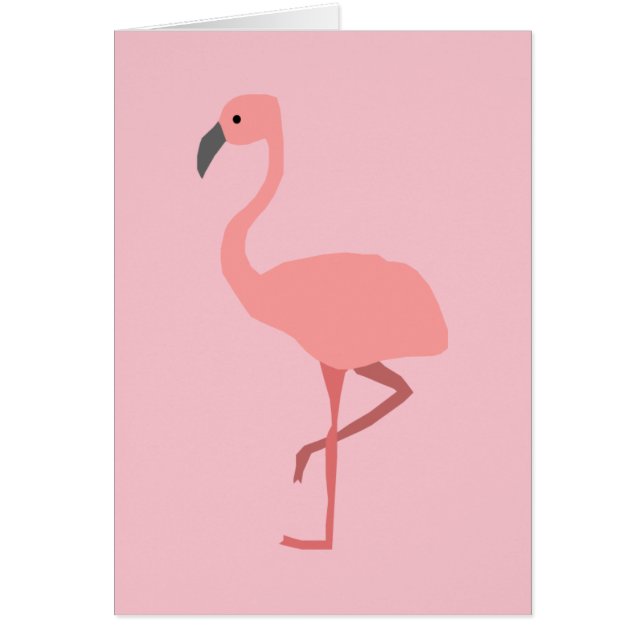 Flamingo (Voorkant)