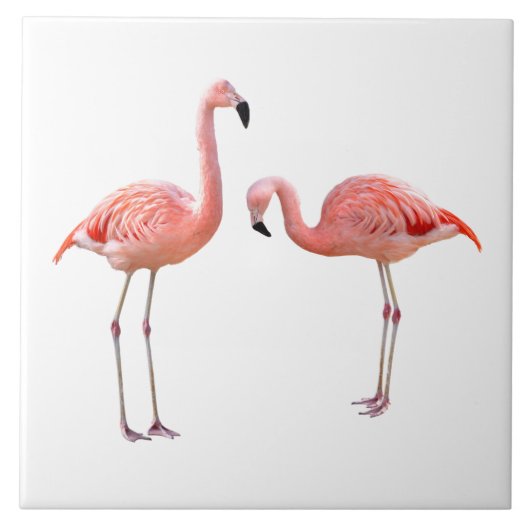 “flamingo”の優良製品 tegeltje (Voorkant)