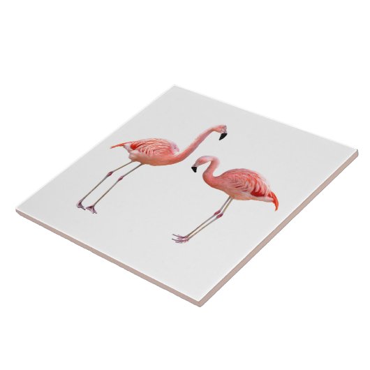 “flamingo”の優良製品 tegeltje (Zijkant)