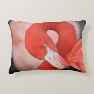 Flamingo 001 accent kussen