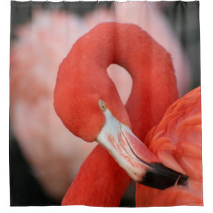 Flamingo 001 douchegordijn