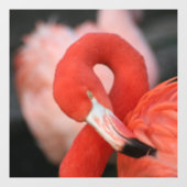 Flamingo 001 raamsticker (Vel)