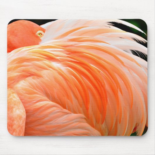 Flamingo 1 Muismat (Voorkant)