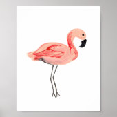 Flamingo 1 poster (Voorkant)
