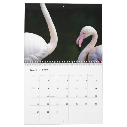 Flamingo 2025 kalender (Mar 2026)