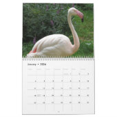 Flamingo 2025 kalender (Jan 2026)
