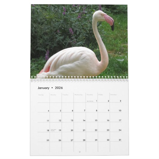 Flamingo 2025 kalender (Jan 2026)