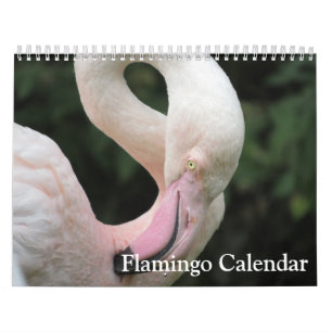 Flamingo 2025 kalender