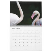 Flamingo 2025 kalender (Mar 2027)