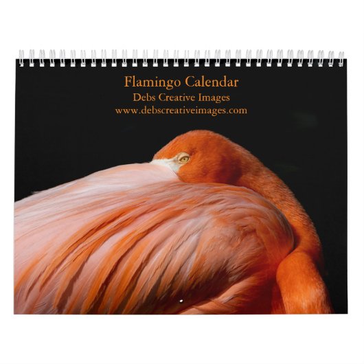 Flamingo 2026 kalender (Hoes)
