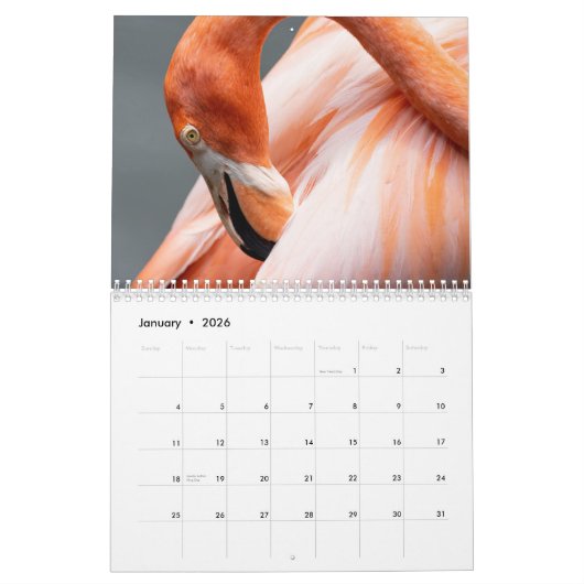 Flamingo 2026 kalender (Jan 2026)
