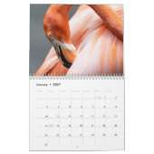 Flamingo 2026 kalender (Jan 2027)