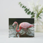Flamingo 2 briefkaart (Staand voorkant)