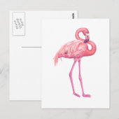 Flamingo 2 briefkaart (Voorkant / Achterkant)