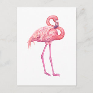 Flamingo 2 briefkaart