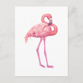 Flamingo 2 briefkaart (Voorkant)