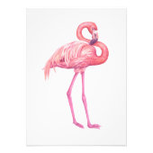 Flamingo 2 foto afdruk (Voorkant)