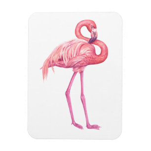 Flamingo 2 magneet