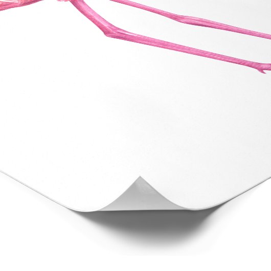 Flamingo 2 poster (Hoek)