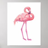Flamingo 2 poster (Voorkant)