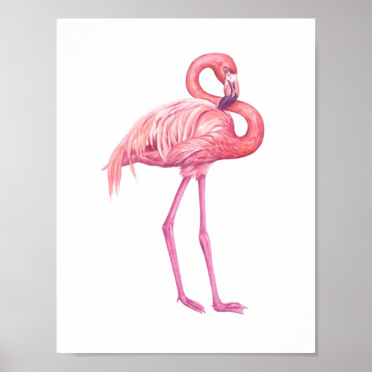 Flamingo 2 poster (Voorkant)
