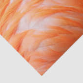 Flamingo 2 tissuepapier (Detail)