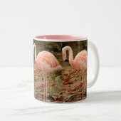 Flamingo 3 Foto Mok (Voorkant rechts)