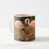 Flamingo 3 Foto Mok (Voorkant links)