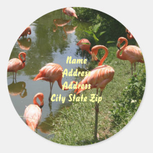 Flamingo Adreslabel Ronde Sticker