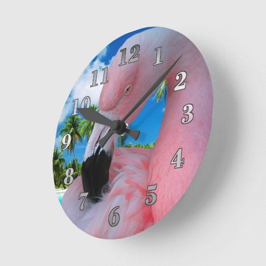 Flamingo and Beach Ronde Klok (Hoek)