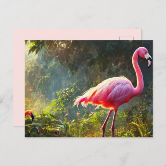 Flamingo ansichtkaart briefkaart (Voorkant / Achterkant)