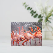 Flamingo ansichtkaart briefkaart (Staand voorkant)