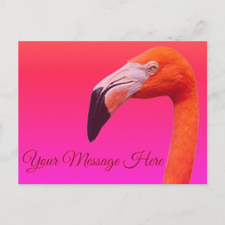 Flamingo Ansichtkaart  Feestdagenkaart