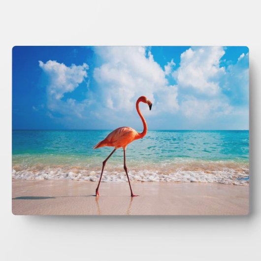 Flamingo Art Decor Plaque Fotoplaat (voorkant)