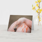 Flamingo at Rest Kaart (Gele Bloem)