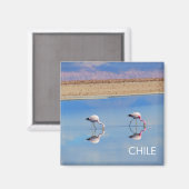 Flamingo, Atacama Desert, Chili Magnet (Voorkant / Achterkant)