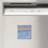 Flamingo, Atacama Desert, Chili Magnet (Insitu (Vaatwasser))