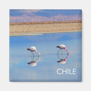 Flamingo, Atacama Desert, Chili Magnet
