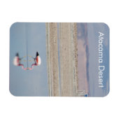 Flamingo Atacama woestijn Flexible Magnet Magneet (Horizontaal)