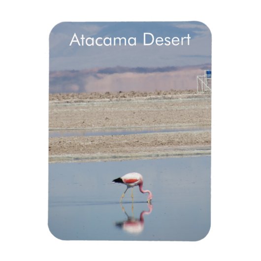 Flamingo Atacama woestijn Flexible Magnet Magneet (Verticaal)
